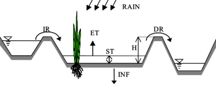 Fig. 2 Hydrologic circulation in paddy field