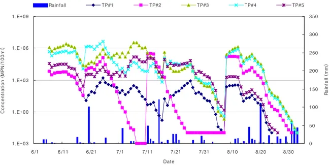 Fig. 11 Simulated temporal change of the microorganism concentrations