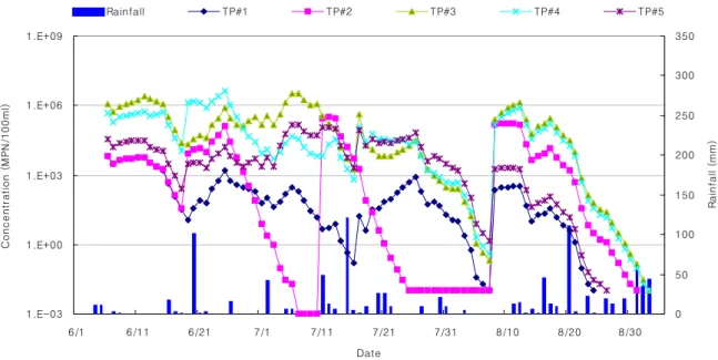 Fig. 11 Simulated temporal change of the microorganism concentrations
