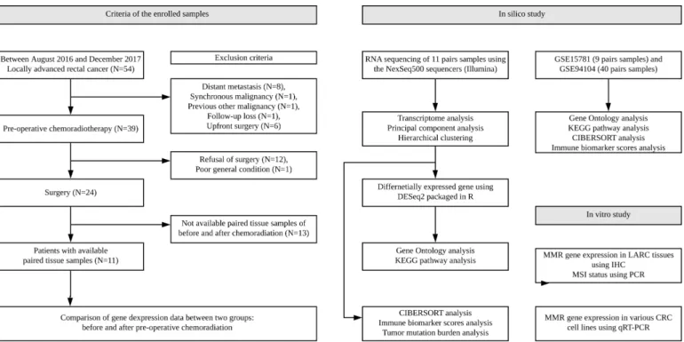 Figure 1  Diagram of patient selection and study workflow. Samples before neoadjuvant CRT were obtained at the time of  diagnosis using endoscopy