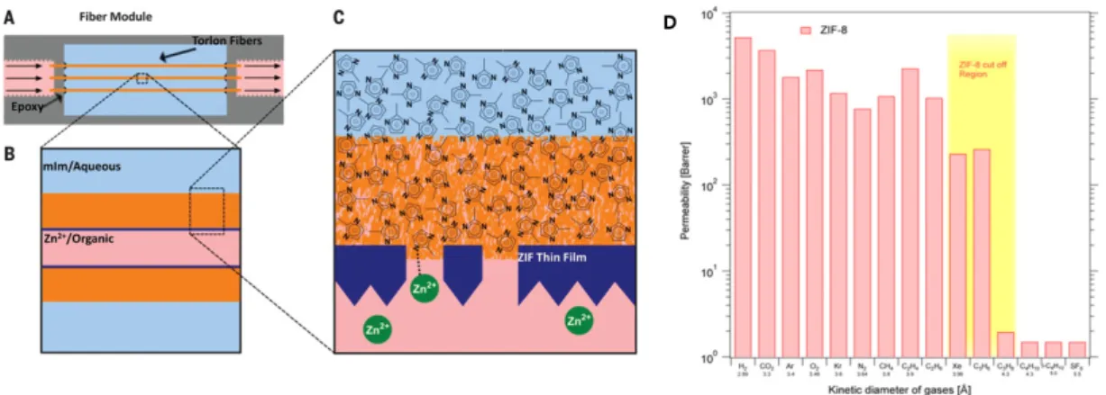 그림 4.   Interfacial Microfluidic Membrane Processing (IMMP) 제작 과정, (A) IMMP 반응기에 탑재된 고분자 중공사의 측면도, (B) 중공 사 내벽의 Zn 2+ /1-옥탄올 용액과 외벽의 2mIm/초순수 용액이 공급된 모습, (C) 1-옥탄올/초순수 계면 (고분자 내벽)의 확대 그 림; 두 전구체의 반응에 의해 섬유 내부 표면에 다결정질 ZIF-8 분리막을 형성한다