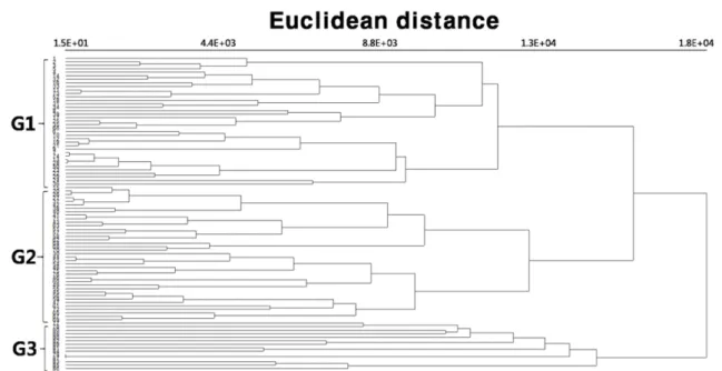 Fig. 2. Dendrogram of diatom-based stream sites classification using Ward linkage-Euclidean distance method