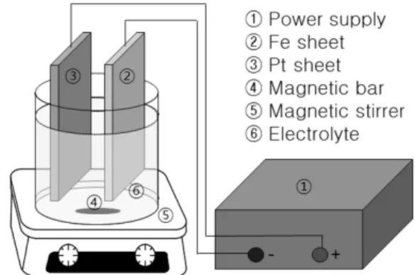 Fig. 1. Schematic diagram of iron anodization.