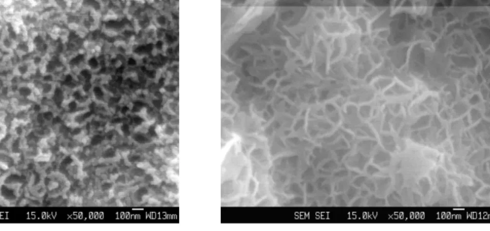 Fig. 2. FE-SEM images of iron oxide nanotube (INC) film formed in 1M Na 2 SO 4 + 0.5wt (%) NaF after anodization