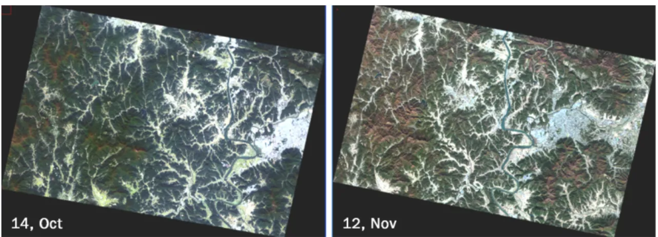 Fig. 3. Atmosphere Corrected RapidEye Imagery. 