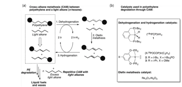 Figure 4.  알칸 교차 복분해 반응(CAM)을 통한 PE  분해.  (a)  균질계 촉매 기반 탈수소화/수소화 반응과 비균질계 촉매 기반  올레핀 복분해 반응으로 이루어진 전체 CAM  반응의 모식도