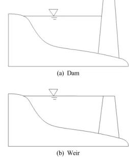 Fig. 2. Description on input specifications of dams and weirs.