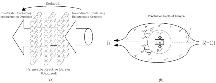 Fig. 1. Scheme of the permeable reactive barrier for the dehalgenation reaction of halogenated organics contained in  groundwater (a), and the variations of the oxidation reaction of Fe o  and the formation of passivating precipitate  depending on the pene