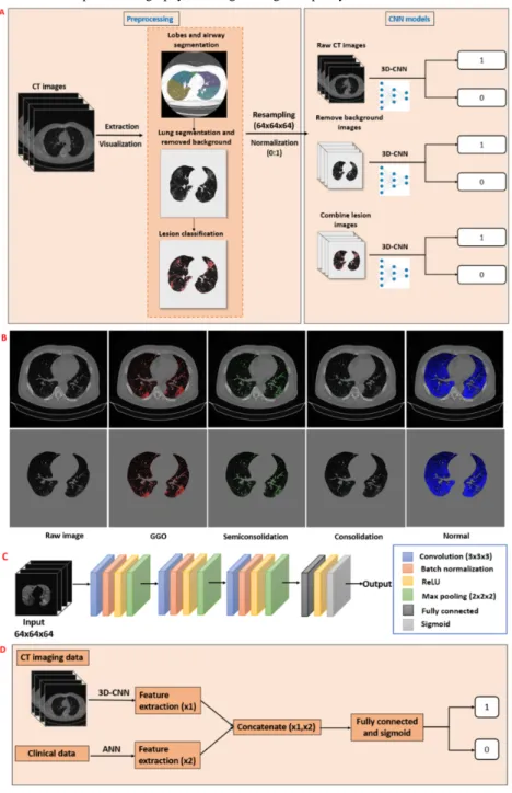 Figure 2.  Main experimental products of (A) convolutional neural network (CNN) models, (B) lung lesion segmentation parts of a severe subject, (C) the architecture of our CNN model, and (D) illustration of the artificial convolutional neural network (ACNN