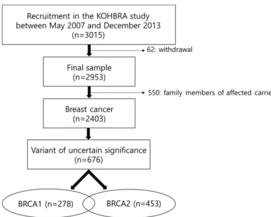 Figure 1.  Schematic diagram of patient selection: BRCA1 and BRCA 2 (n = 55).