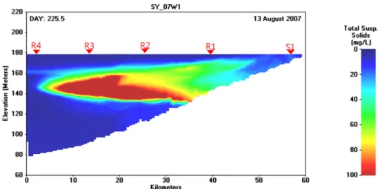 Fig. 6. Simulated propagation of turbid flow in two-dimensional (x-z) view on August 13, 2007.