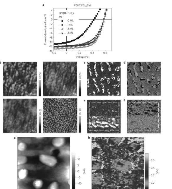 Figure  3.  강유전 박막의 표면지형이 소자 성능에 미치는 영향.  (a)  0-3  모노레 P  (VDF-TrFE)를 갖는 P3HT  :  PC70BM  소자의 IV  커브,  (b)  AFM으로 측정된 표면지형,  (c-f)  2  모노레이어 샘플의 AFM으로 측정된 amplitude와 phase  이미지,  (g)  2  모노레이어가 증착된 샘플의 Tomography와 전류 매핑.
