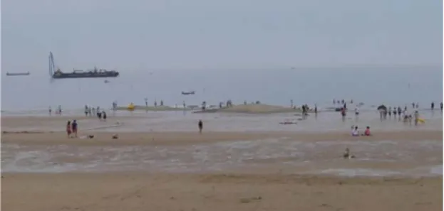 Fig.  7. A photograph of the beach feeding site A. A B 이루어  졌으며,  다음날인  11일  낮  12시부터  2시까지  2개  지점에서  이루어졌다