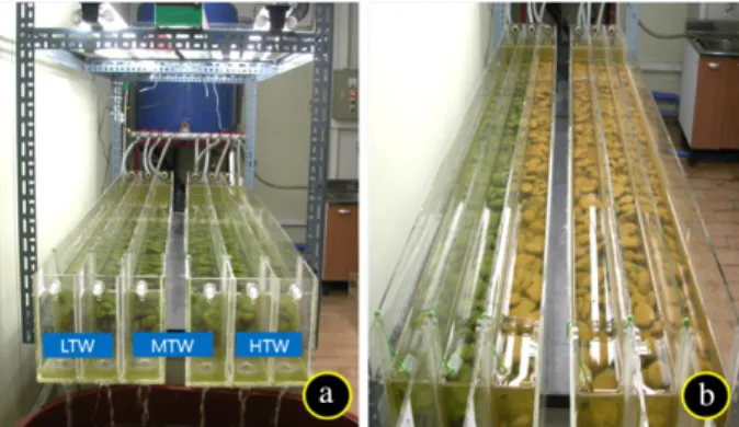 Fig. 1. Over-view of artificial channels before (a) and after  (b) treatment of turbid-waters.