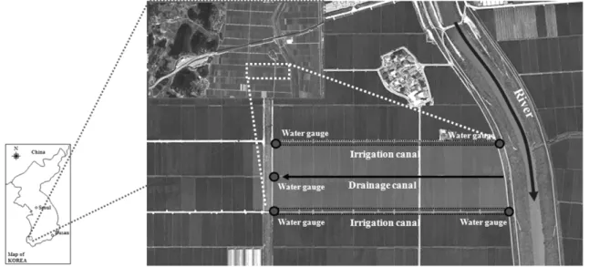 Fig. 1. Schematic representation of study area and location of sampling stations.