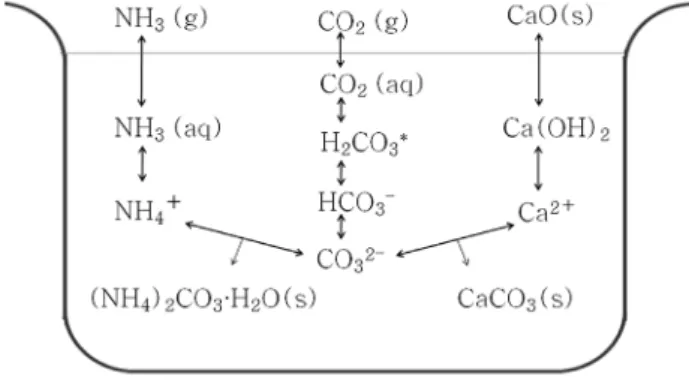 Fig. 1. Scheme of the competitive reactions occurring in  aqueous environment for the capture of CO 2 (g) by  Ca 2+  and NH 4 + .