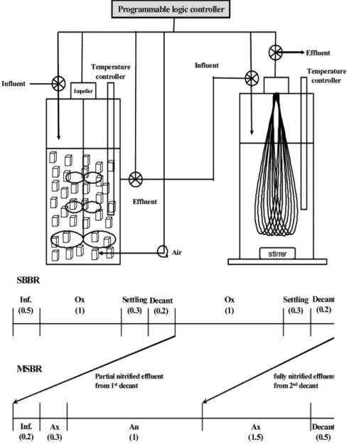 Fig. 1. Lab-scale SBBR-MSBR unit with operating cycle.