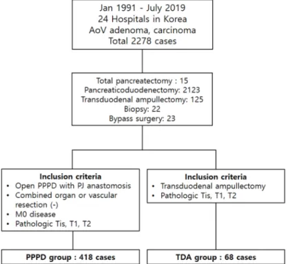 Figure 1. Patient allocation between the PPPD and TDA groups. 