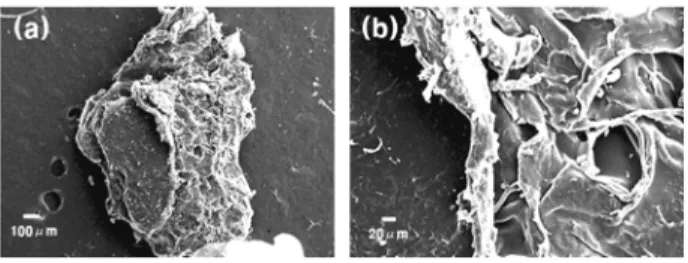 FIg. 4. SEM imagings of small crushed expanded polypro- polypro-pylene media by fine crusher without the cooling  devices; (a) ×75, (b) ×400.