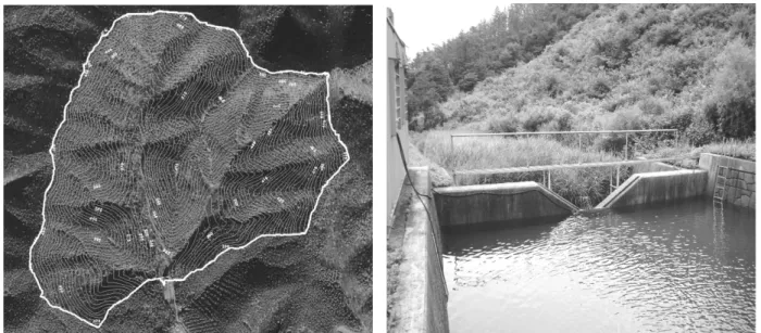 Fig. 1. The coniferous forest watershed. Fig. 2. 120° V-notch weir.