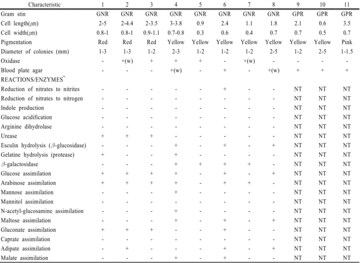 Table 1. Morphological and physiological characteristics of bacteria isolated from tap water