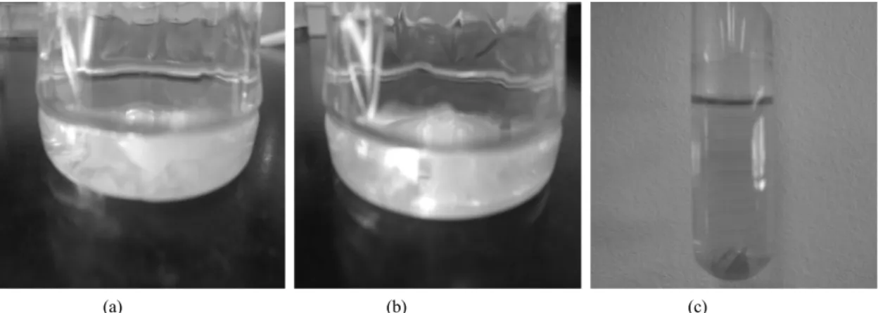 Table 4. Residual chlorine and detection rate of heterotrophic bacteria (R2A agar, 25°C, 7 days)