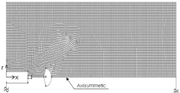 Fig. 5. Mesh configuration.