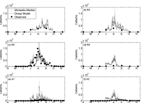 Fig. 9. Comparison of simulated(line) and observed(circle) time series of Microcystis concentrations in 2001.