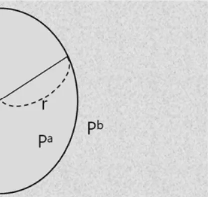 Fig. 1. Pressure difference of phase boundary equilibrium in  the curved surface.