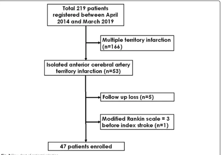 Fig. 2 Flow chart of patients ’ selection
