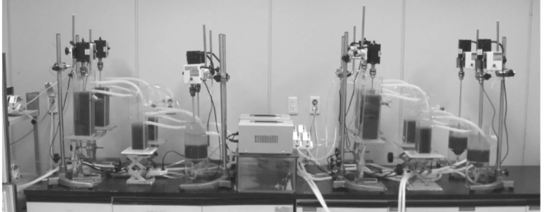 Table 1. IC condition for perchlorate analysis