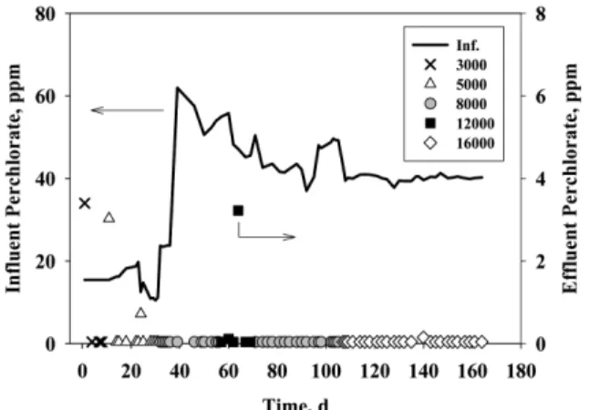 Fig. 10. Influent and effluent perchlorate concentration at  various SO 4 2-  concentration (20,000 and 25,000 ppm)