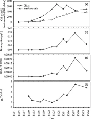 Fig. 3. Temporal variation of cell density, concentration of  MCYSTs and chlorophyll a of Anabaena planktonica  (HG-012) culture fluid and cellular content of  MCYSTs and chlorophyll a.