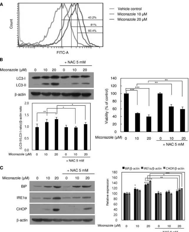 Figure 4. ROS‑ and ER stress‑inducing effects of miconazole in relation to autophagic cell death