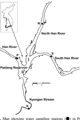 Fig. 1. Map showing water sampling stations (●) in Paldang  Reservoir.