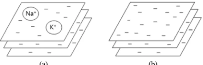 Fig. 2. Status of the facial charge of montmorillonite (a) before  and (b) after adding montmorillonite to water.