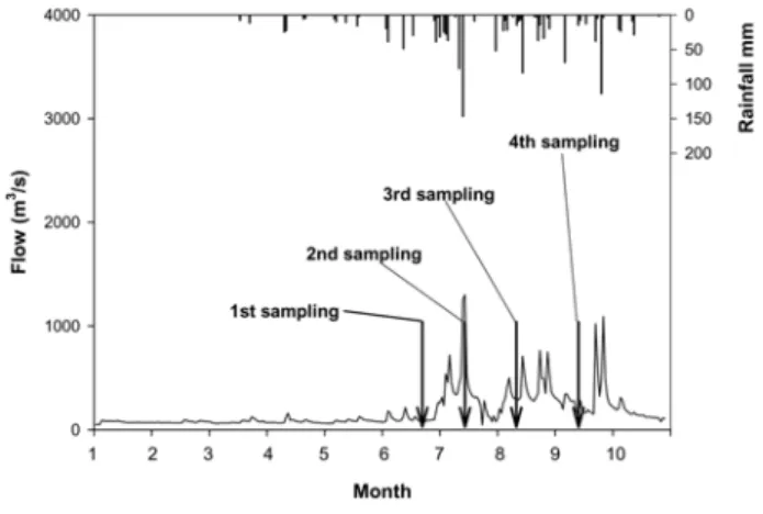 Fig. 2. Flow rate and precipitation depth monitored at Gongju  Station in year 2006. 였으며,  풍수기가 충분히 지속되고 평수위로 접어드는 시기 를 측정한 것이다