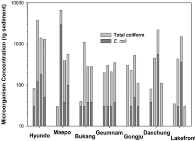 Fig. 7. Total coliform and E. coli. concentrations of sediment  at sampling sites during sampling campaign.