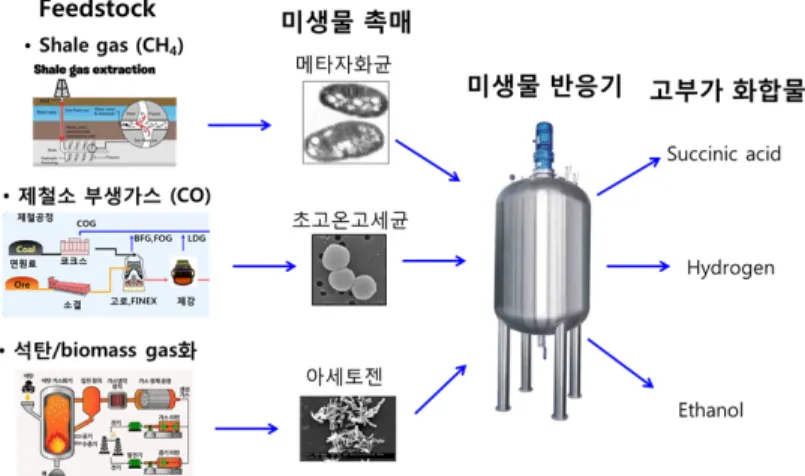 그림 3. 미생물을 이용한 가스전환 공정 연구.