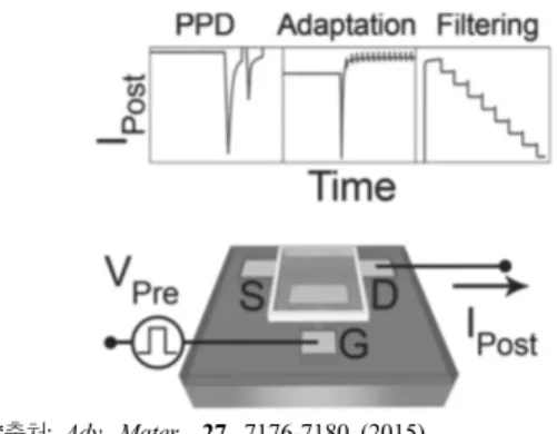 Figure  9.  우울적  단기  시냅스  가소성  기능(paired-pulse  depression,  adaptaion,  dynamic  filtering)과  전기화학  트랜 지스터  모식도[31]