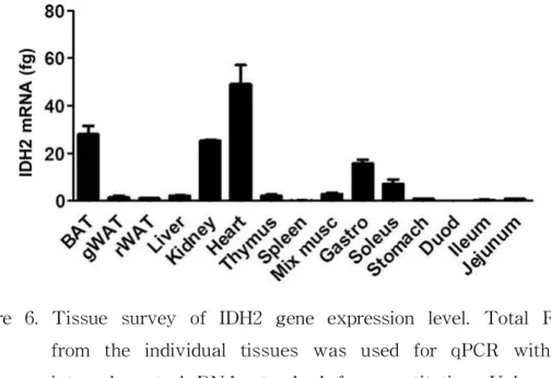 Figure 6. Tissue survey of IDH2 gene expression level. Total RNA from the individual tissues was used for qPCR with an internal control DNA standard for quantitation