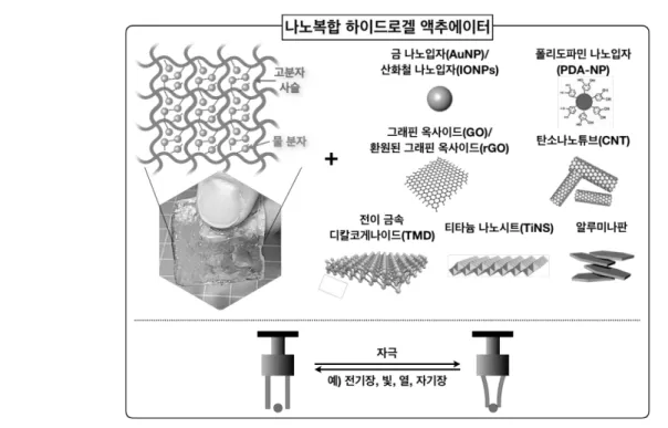 Figure  2.  GO가 첨가된 전기장 감응성 하이드로겔 액추에이 터의  굽힘  거동.