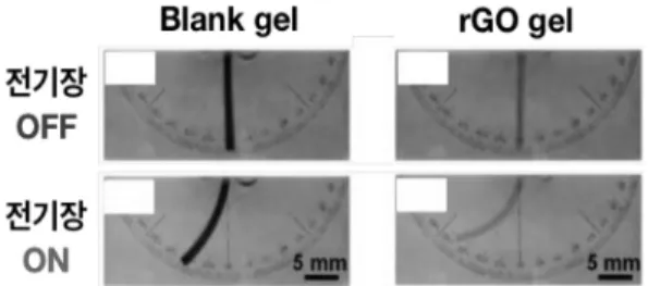 Figure  4.  rGO  첨가에  의한  poly(AMPS-co-AAm)/rGO  하 이드로겔  액추에이터의  향상된  굽힘  거동.