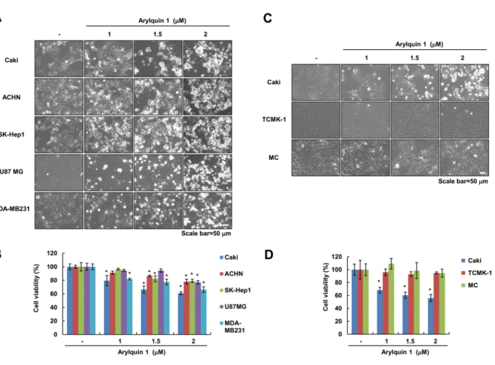 Fig. 1    Arylquin 1 induces cell death in various cancer cells. a–d  Cells were treated with the indicated concentrations of arylquin 1 for  24 h