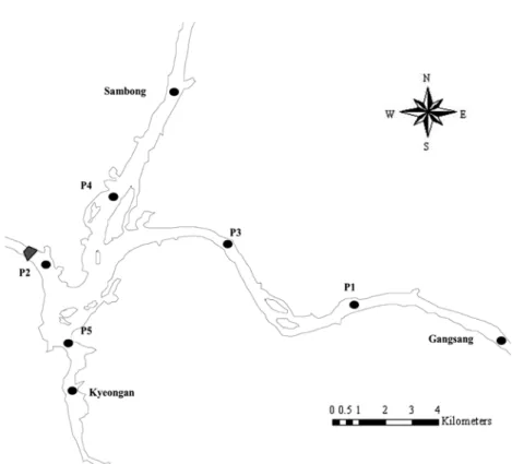 Fig. 1. Study sites. Fig. 1에 연구대상 지점을 나타내었다.  본 연구에서는 한 강물환경연구소에서  매주  및  매월  시료  채취하여  분석한  수질측정망의 1995년부터 2006년까지의 월평균 수질자료를  이용하였다