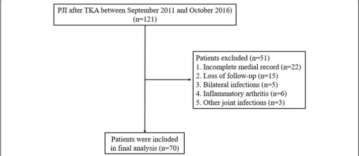 Fig. 1 Patient flow chart. PJI prosthetic joint infection, TKA total knee arthroplasty