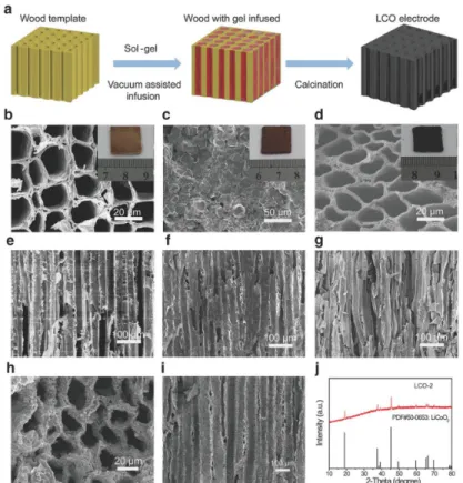 Figure 4.  목질 바이오매스를 이용한 리륨 이온 전지 양극용 후막 전극; a) 아주 두꺼운 LCO 전극을 나무를 이용하여 제조 하는 과정 설명, b) 원료로 사용한 나무의 상면도, c) 젤이 혼입된 나무의 상면도, d) LCO-1-카본 전극 상면도, e) 나무의  단면도, f) 젤이 혼입된 나무의 단면도, g) LCO-1-카본의 단면도, h) LCO의 함량이 LCO-1-카본보다 높은 LCO-2-카본 상면 도, i) LCO-2-카본 단면도,  그리고