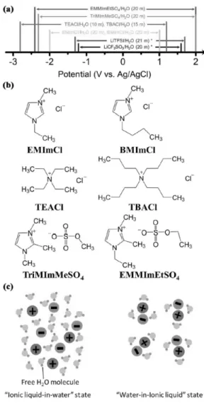 Figure 7. Water-in-ionic liquid 안정성 및 관련 구조 도식도.