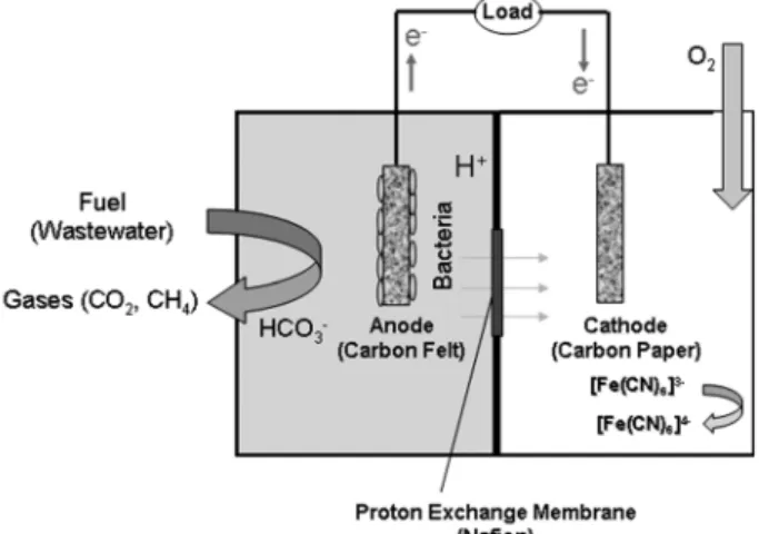 Fig. 1. Cell diagram showing operation principle of the micro- micro-bial fuel cell (MFC).