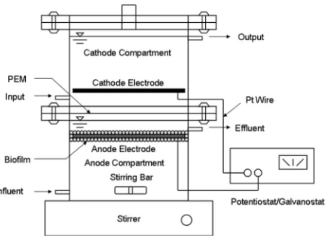 Fig. 2. Arrangement of the continuous MFC.
